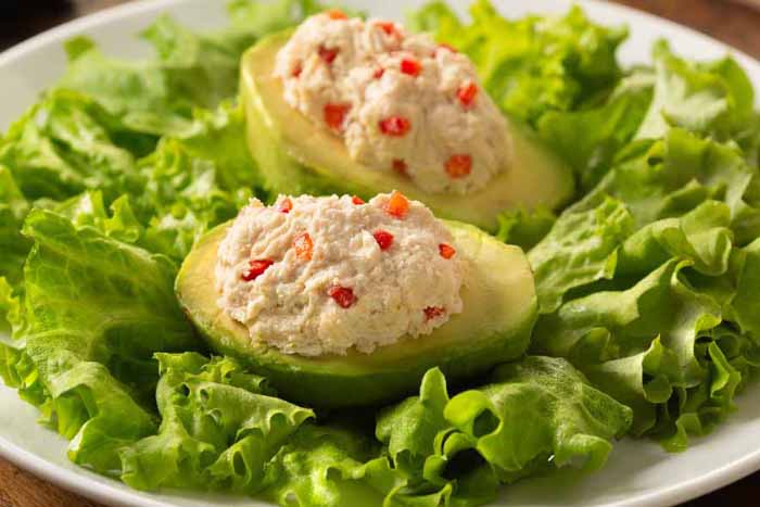 Palta Reina