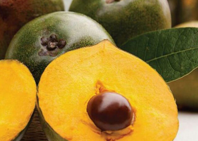 Lúcuma
