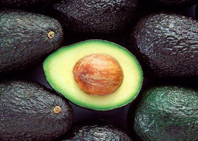 Palta