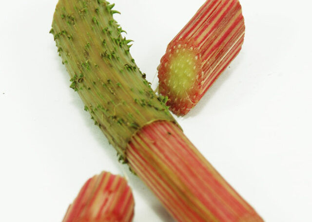Pangue
