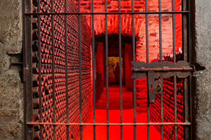 Tour de Casillero del Diablo, elegida la mejor experiencia enoturística de Chile 2024