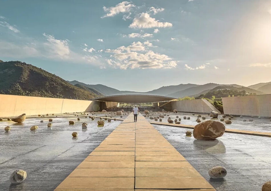 Viñedos chilenos destacaron en los World’s Best Vineyards 2024
