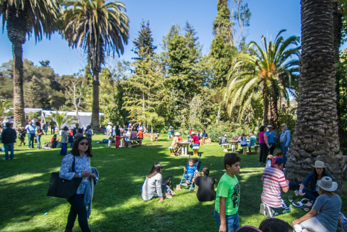 V Fiesta Vitivinícola del Valle de San Antonio 2025: la primera vendimia de Valparaíso
