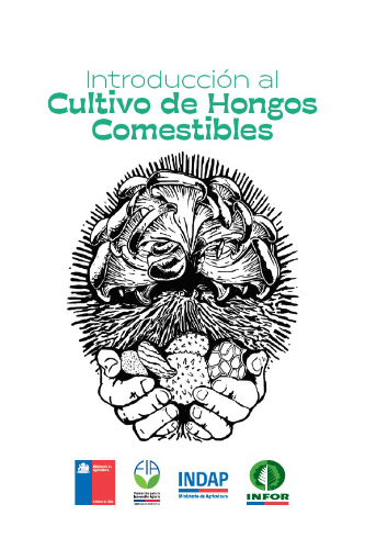 cultivo hongos comestibles