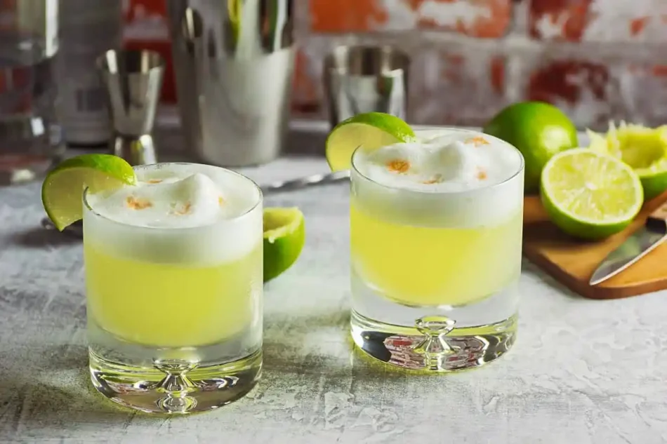 Fiesta de Denominación de Origen Pisco Vicuña 2025