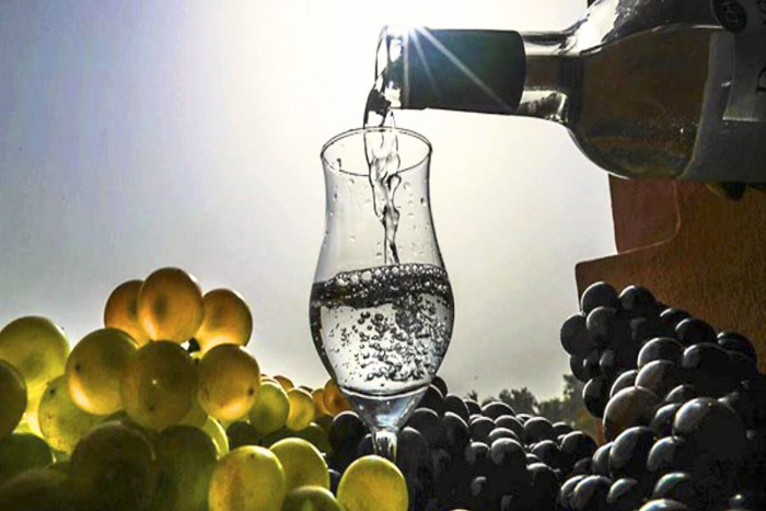 Día Nacional del Pisco 2025: Chile celebra su identidad esteía nacional del pisco 2025