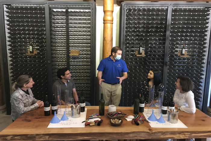 Arma tu propio vino: experiencia enoturística en el Valle de Colchagua