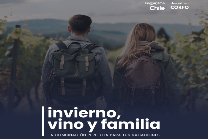 Enoturismo: Panoramas únicos para disfrutar en familia