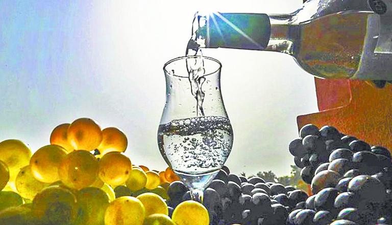 Puro Pisco: evento reunirá diversos expositores pisqueros en el MUT
