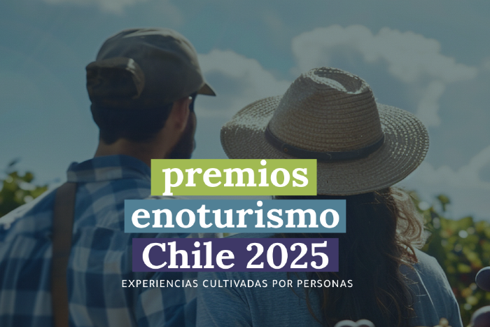 Récord de postulaciones en Premios Enoturismo Chile 2025