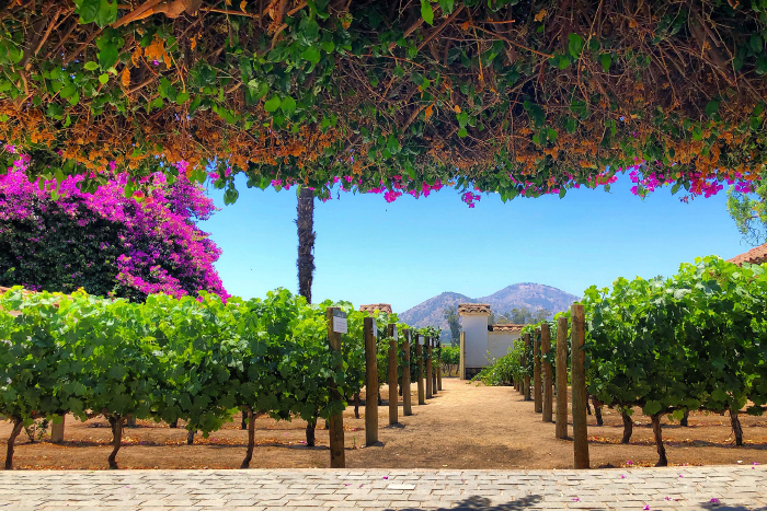 Cómo será la celebración del Día del Vino en Viña Santa Rita