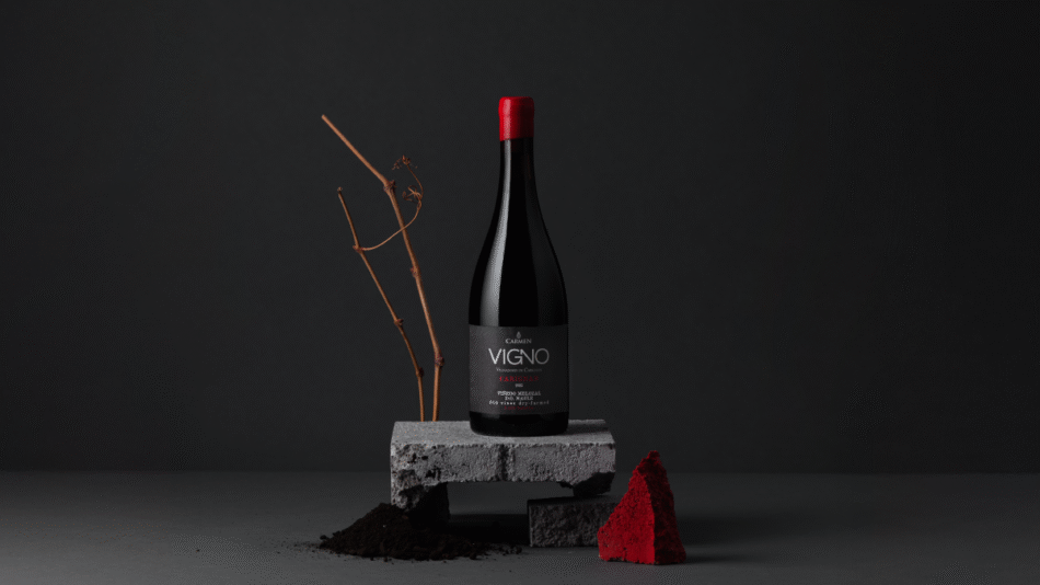 Viña Carmen lanza Carmen Vigno nombrada «Joya Oculta» por Wine Enthusiast