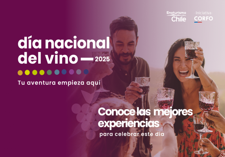 Chile celebra el Día Nacional del Vino con más de 50 panoramas