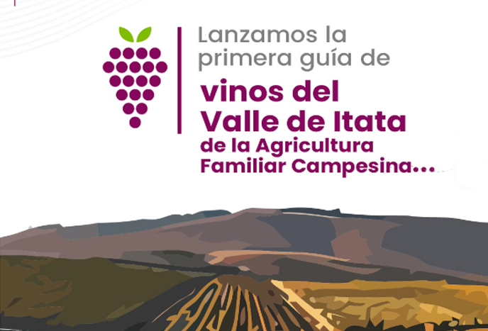 Lanzan primera Guía de Vinos del Valle del Itata
