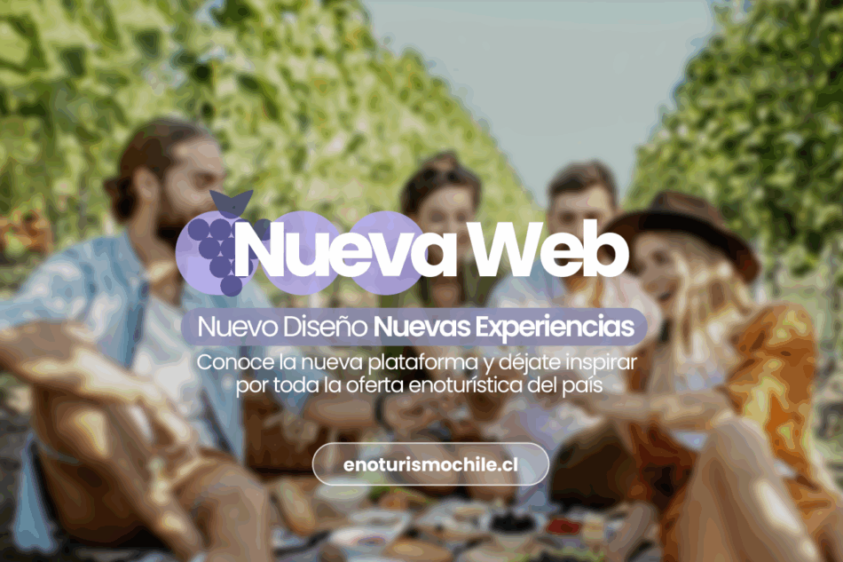 Enoturismo Chile lanza plataforma web para descubrir Chile a través del vino