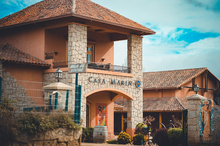 En Inglaterra distinguen a Viña Casa Marín como el “Mejor Productor de Chile”