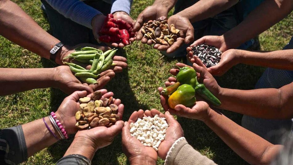 En Concepción se realizará Congreso Nacional “Territorio y Soberanía Alimentaria 2025”