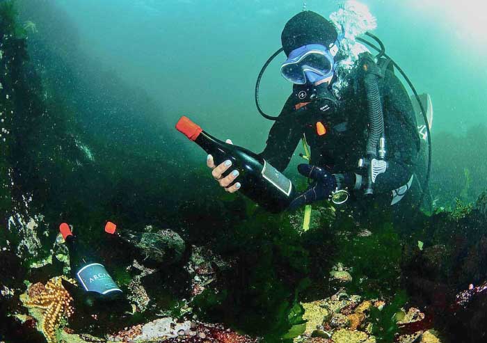 El Biobío impulsa la enología subacuática, la técnica que madura vinos en el fondo del mar
