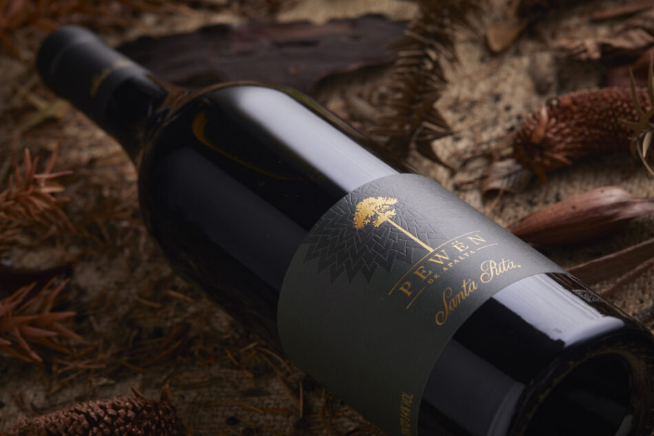 Carmenere de Santa Rita es reconocido como el mejor de Chile