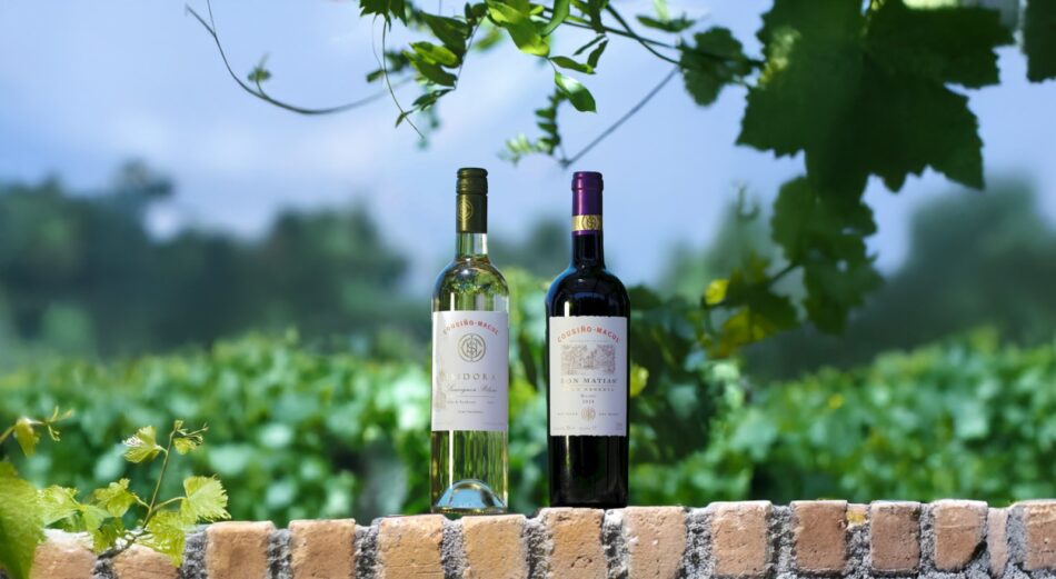 Viña Cousiño Macul suma nuevos vinos a su portafolio