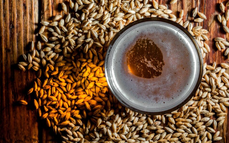 En Alemania cervecerías transforman residuo cervecero a productos veganos