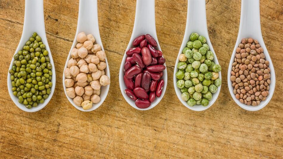 Académicas U. de Chile buscan reforzar agricultura campesina y rescate de cultivos tradicionales