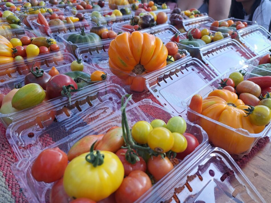 Día del Tomate vuelve al MUT con una fiesta para los sentidos