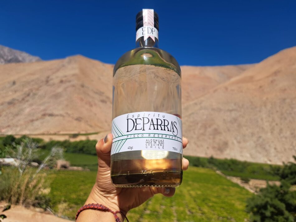 Pisco Espíritu de Parras: nuevo destilado artesanal que nace en Valle del Elqui