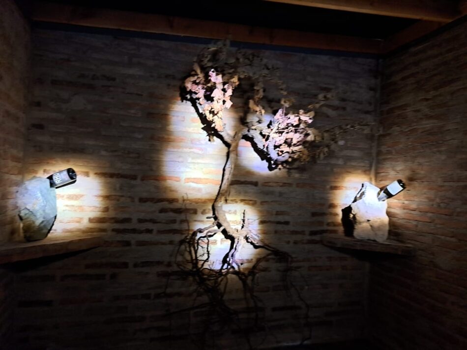 Restaurante chileno conquista Medalla de Bronce en Star Wine List