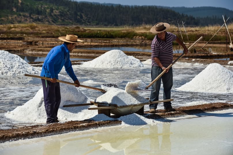 Lanzan cartografía para difundir la tradición salinera de Cáhuil y Lo Valdivia