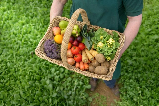 18 de marzo: Día Mundial de la Gastronomía Sostenible