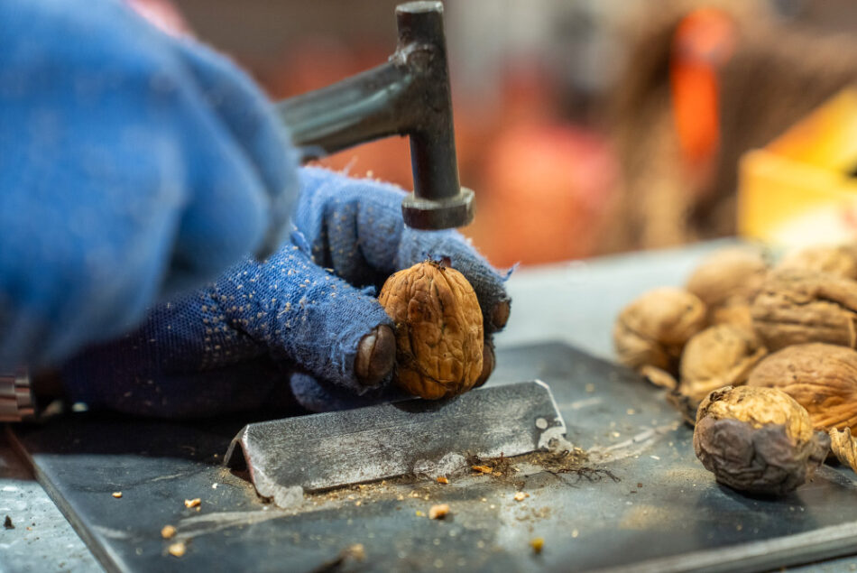 ChileNut participará en el INC World Nut & Dried Fruit Congress 2026