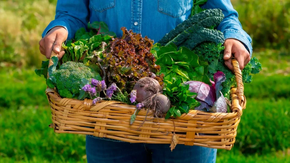 Día Internacional de la Cocina Sostenible: prácticas culinarias que cuidan el planeta
