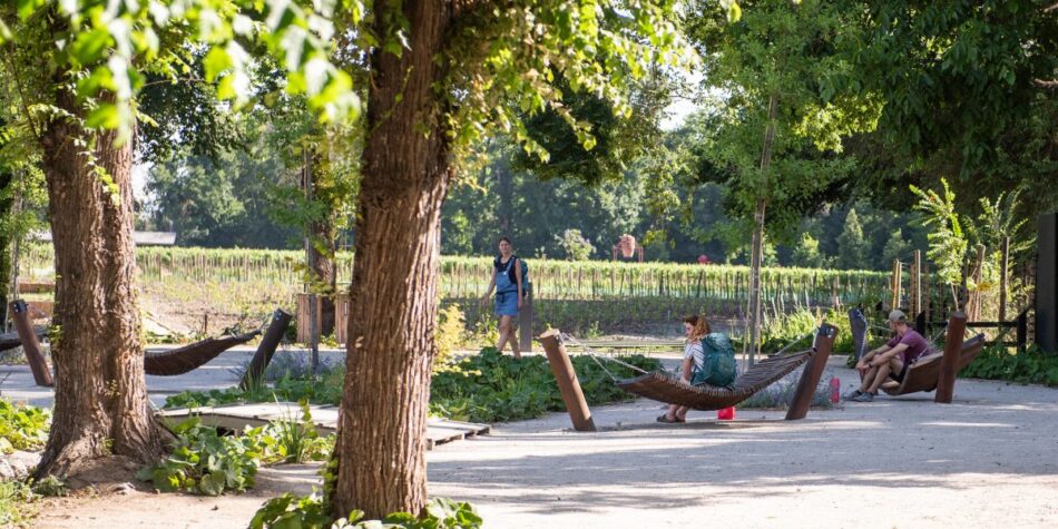 Lanzan Tour Picnic de Invierno en Viña Cousiño Macul