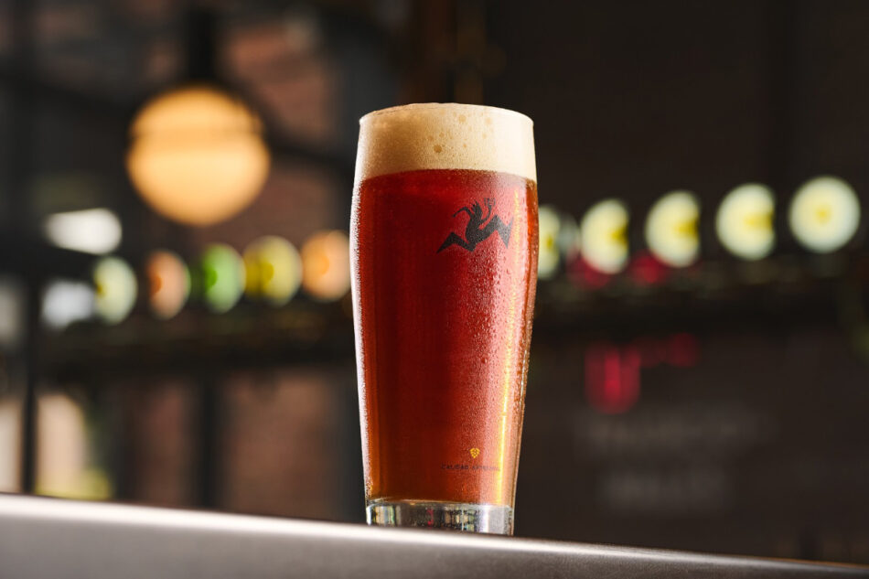 Cerveza chilena suma nuevos logros en los World Beer Awards 2026