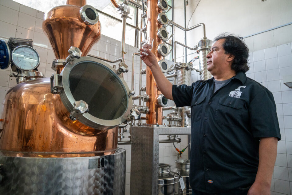 Chile cuenta con International Diploma in Craft Distilling (I.D.C.D.) en la PUCV