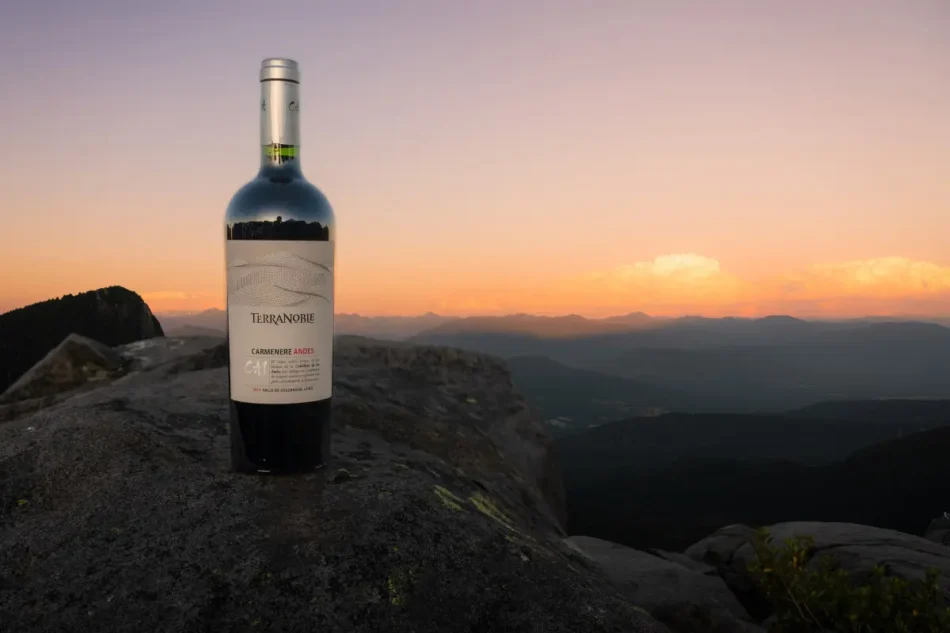 Viña Terranoble gana medalla de oro en el Global Carmenère Masters de The Drinks Business